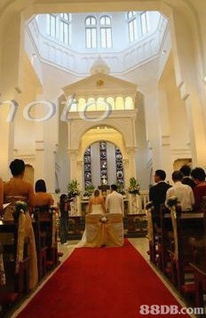 專業數碼攝影服務 捕捉瞬間，塑造永恒